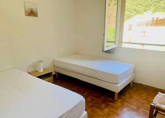 Appartement F3, 4 Couchages, Balcon, Wi-fi, Garage, Ascenseur, Proche Centre Et Cures, Amelie-les-bains - Fr-1-703-97 Amélie-les-Bains-Palalda